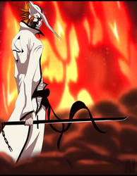 Hollow Ichigo - Captain\Arrancar