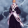 Kurosaki Ichigo back - Bleach 582