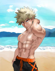 Beach reveal Bakugou 