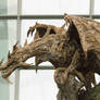 wooden dragon