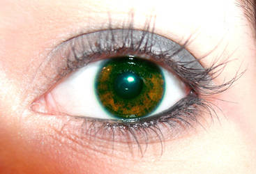 dragon eye