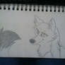 lovely wolf drawing 2