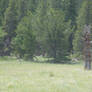 Northern Colorado - Lone Sentinel