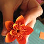 Orange Paper Flower