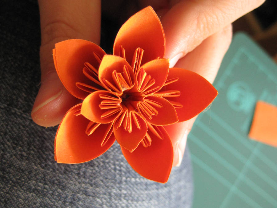 Orange Paper Flower by lalalura