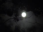 Moon by Alice77222