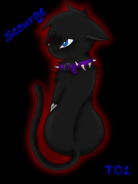 Scourge