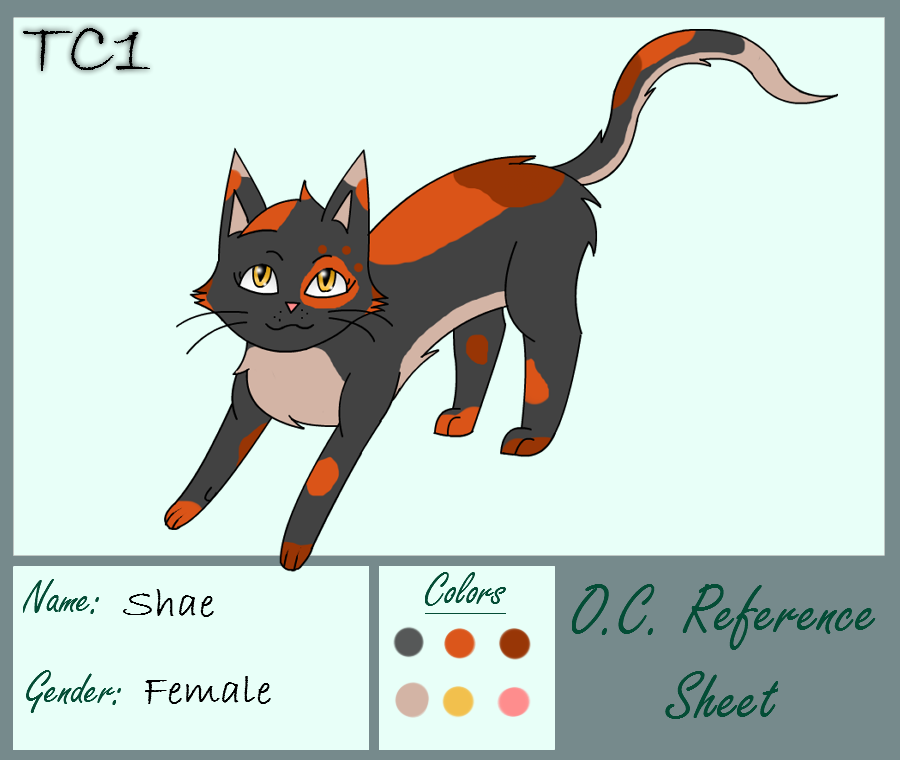 Shae Reference sheet