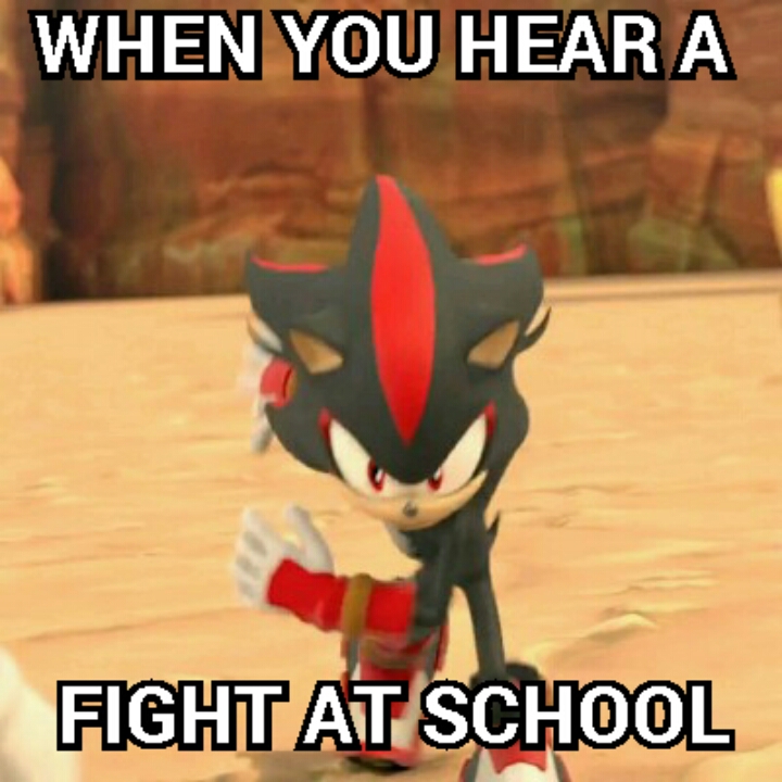 Shadow Meme by shadae53 on DeviantArt