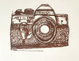 Old Camera