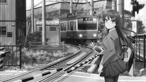 Mai Sakurajima in Black and White 1