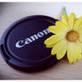 Canon Love