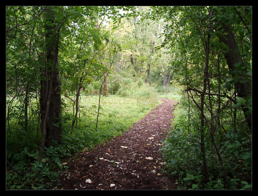 To Narnia by ignomy on DeviantArt