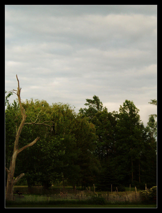 Pendleton by ignomy on DeviantArt