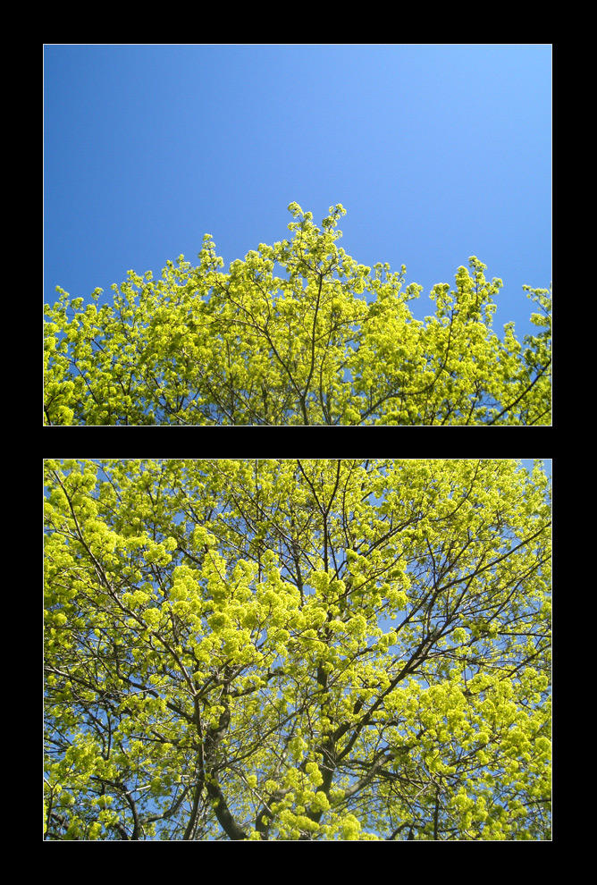 King Me by ignomy on DeviantArt