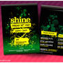 Flyer : Shine 08
