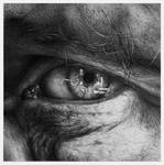 Through The Iris II by arminmersmann
