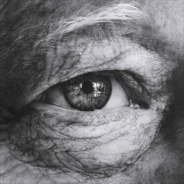 Through the Iris IV by arminmersmann