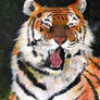 Wild but Elegant Tiger Acrylic