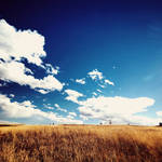Travelling For by solefield