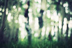 Be Light by solefield