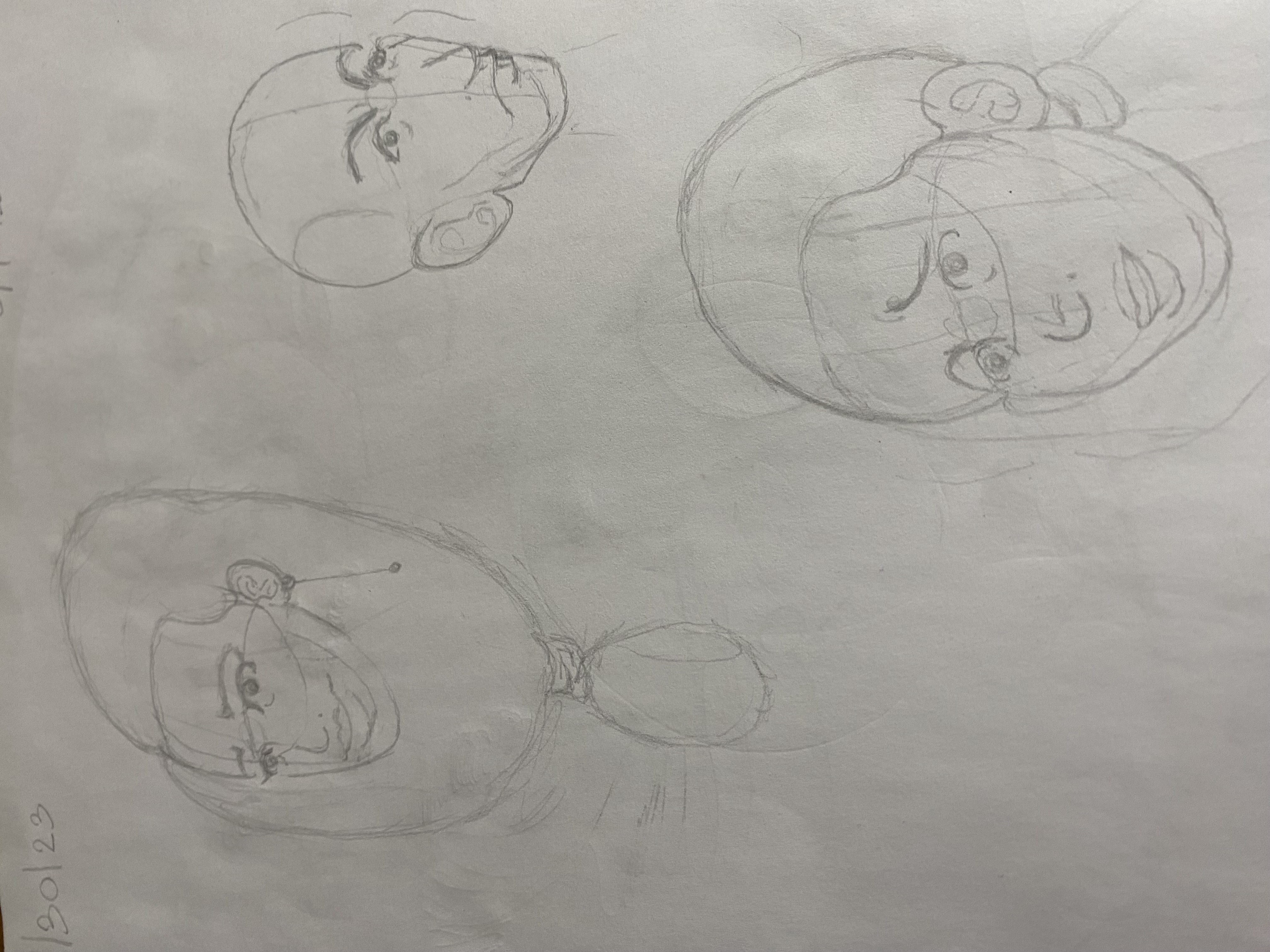 3/4 frontal heads