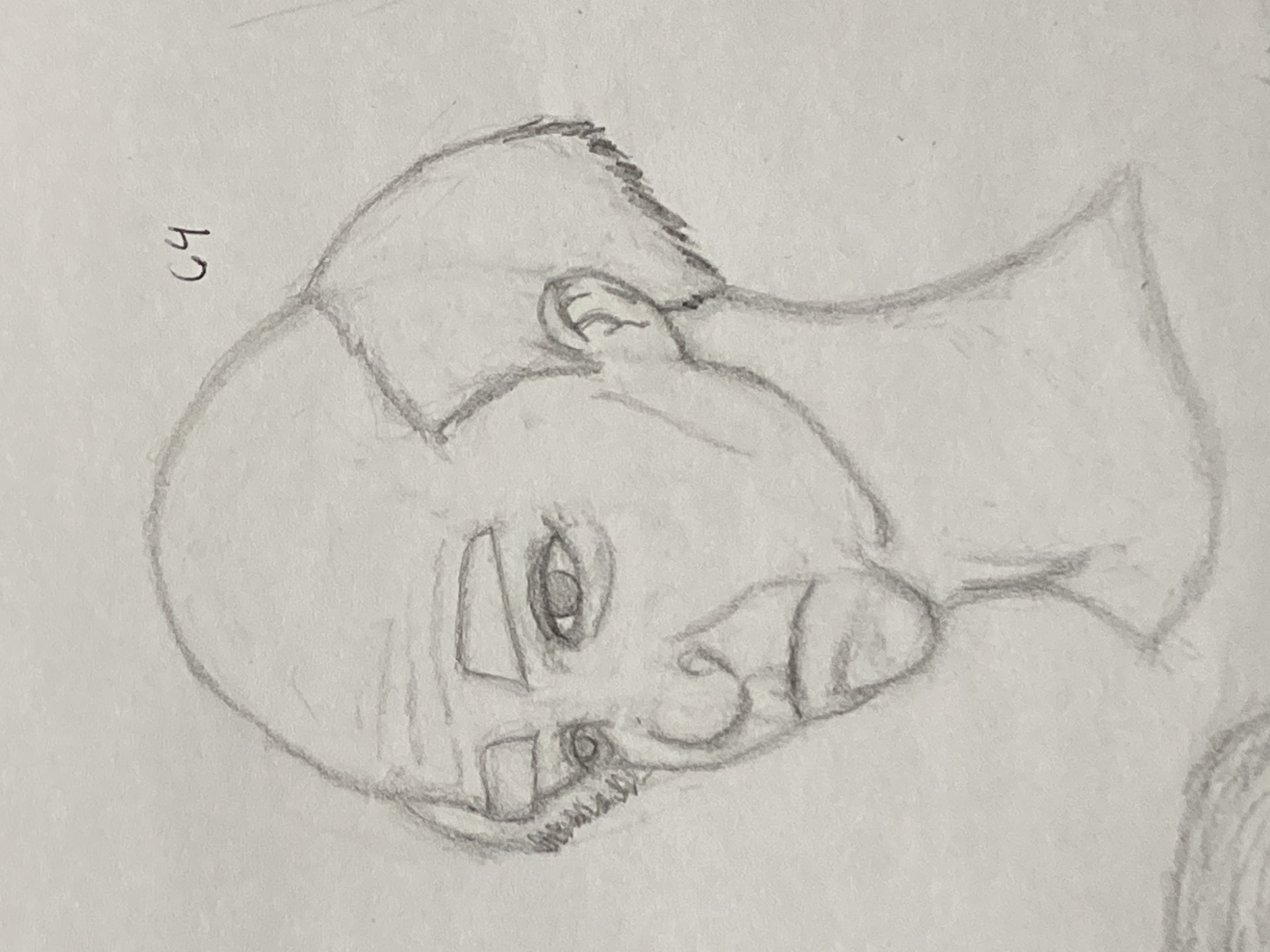 100 heads challenge #64