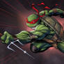 Teenage Mutant Ninja Turtles_Rafael Colors