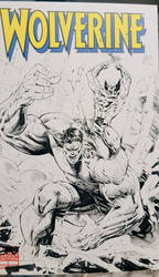 Wolverine vs Hulk Sketchcover 