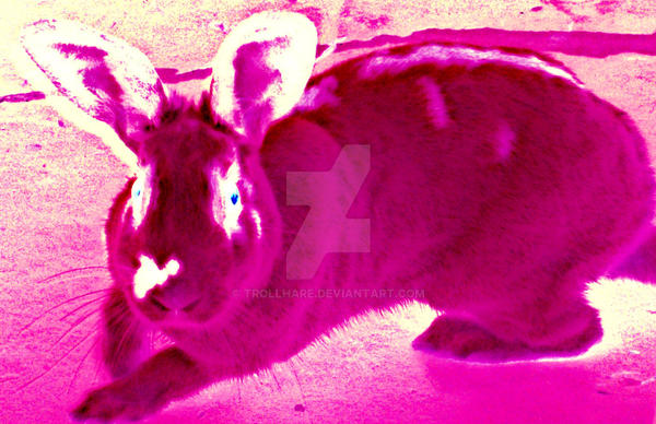 The pink bunny of bitchiness by trollhare on DeviantArt