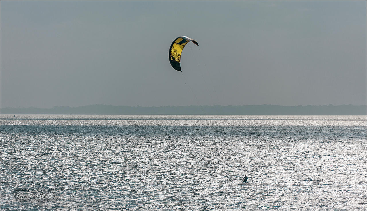 Blowing In The Wind