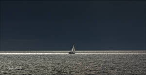 Light Sailing