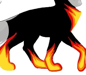 Ovipets fire tattoo pt. 2