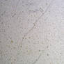 ms124-texture