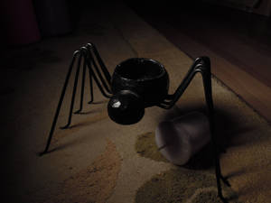 Spider