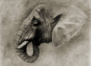 L' ELEPHANT