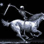 A skeleton on it's horse