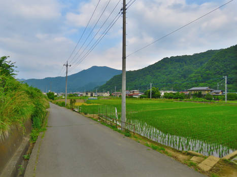 Scenes From My Adventures - Yamanashi Towns