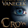 Covers - Crow 1 The Awakening - eBook