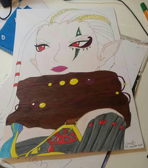 Impa from warriors of hyrule 