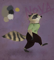 Raccoon Nova - Ref