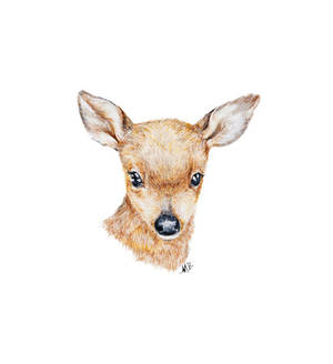 Water color painting of a Bambi deer by Marchebban