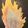 Matches