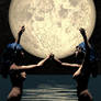 moondance