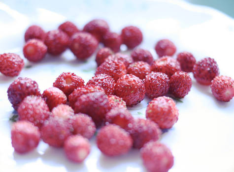 Berries