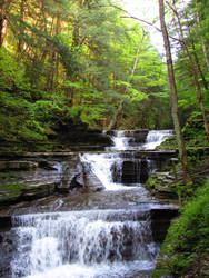 Buttermilk Falls 15