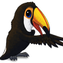 Toco Toucan