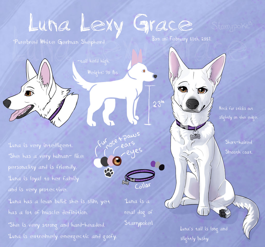 Luna Lexy Grace Reference Sheet by Starrypoke on DeviantArt