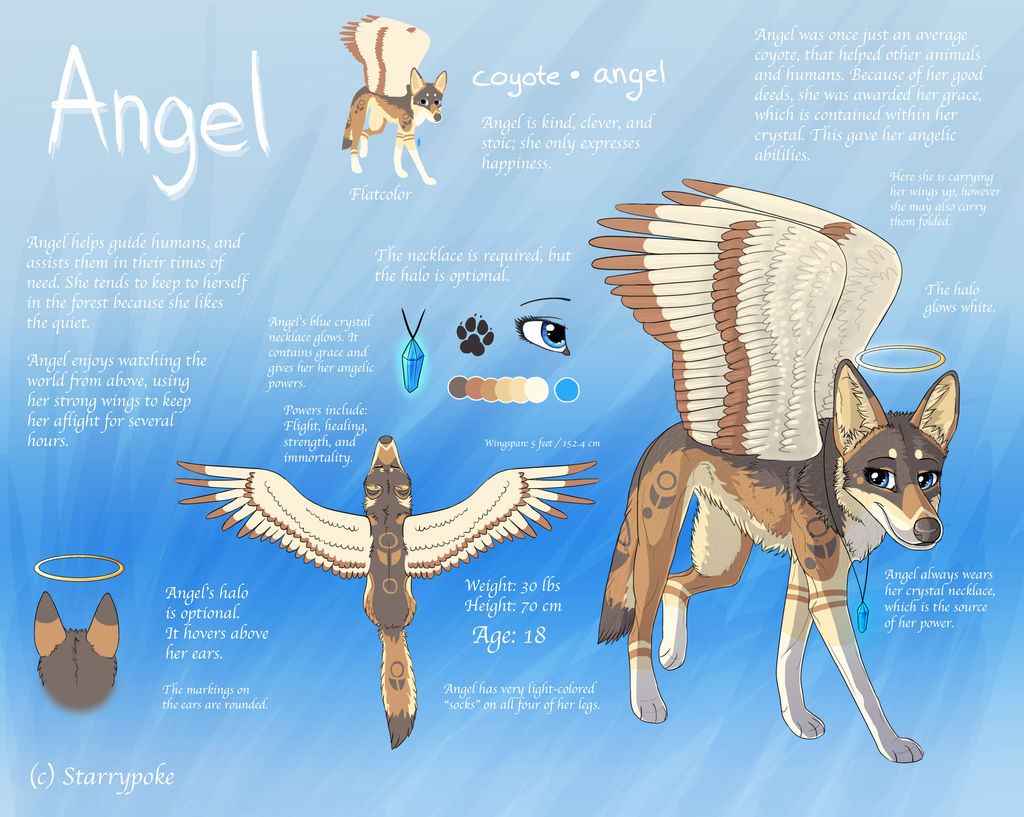 Angel Reference 2014 by Starrypoke on DeviantArt