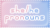 she/he pronouns